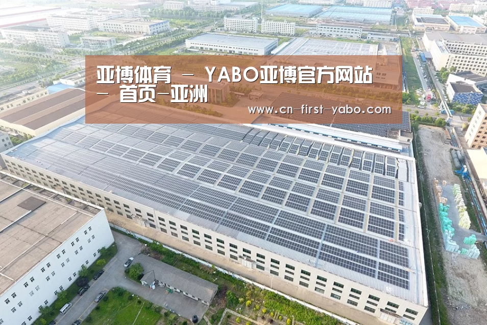 案例展示一