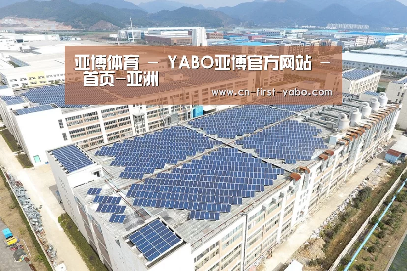 案例展示一