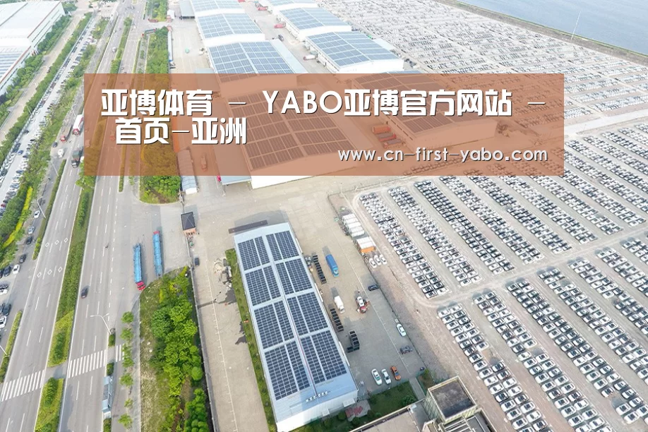 案例展示一