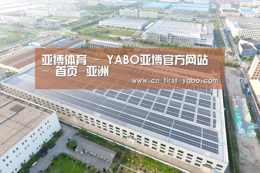 案例展示三
