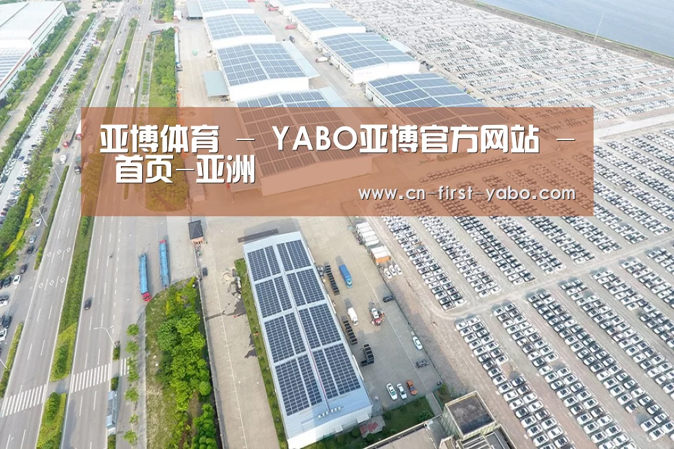 案例展示三