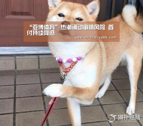 “亚博体育”热潮涌动审慎风险 首付持续降